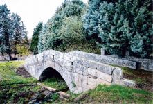 Especial Arroios (2020)